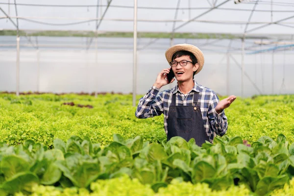 Agricultor Agronegocios Concepto Agricultura Hidropónica Hombre Usando Smartphone Para Hablar — Foto de Stock