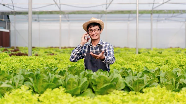 Agribusiness Farmer Hydroponic Farming Concept Man Using Smartphone Talking Customer — Stock Photo, Image