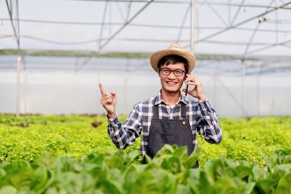 Tarım Işçisi Hidrofonik Tarım Kavramı Müşteriyle Konuşmak Için Akıllı Telefonu — Stok fotoğraf