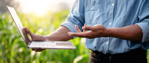 Akıllı Çiftçi Tarım Alanındaki Teknoloji Ile Çalışırken Sistem Kontrolü Planlarken — Stok fotoğraf