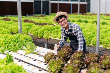 Tarım işçisi ve hidrofonik tarım kavramı, seradaki salata sebze çiftliği için hidroponik çiftliğinin su sistemini test etmek ve kontrol etmek için pH ölçer kullanan adam..