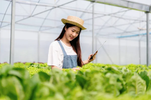 Woman smart farmer holding tablet working and checking organic hydroponic vegetable quality in greenhouse plantation to harvest preparing export to sell.