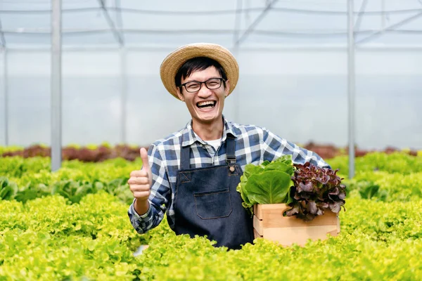 Tarım Işçisi Hidrofonik Tarım Konsepti Salata Suyu Bitkilerini Topladıktan Sonra — Stok fotoğraf