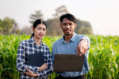 İki akıllı çiftçi sebze tarlasını işaret ediyor ve tarımsal alandaki teknolojiyle çalışırken ve planlarken kaliteli mısır sebzelerini incelemek için dizüstü bilgisayar kullanıyor..