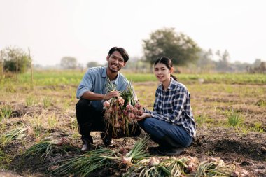 İki zeki çiftçi sarımsak ve mutluluk tutarken tarım alanında teknoloji ile çalışırken ve planlarken sarımsaklı sebzelerin miktarını ve kalitesini inceleyerek.