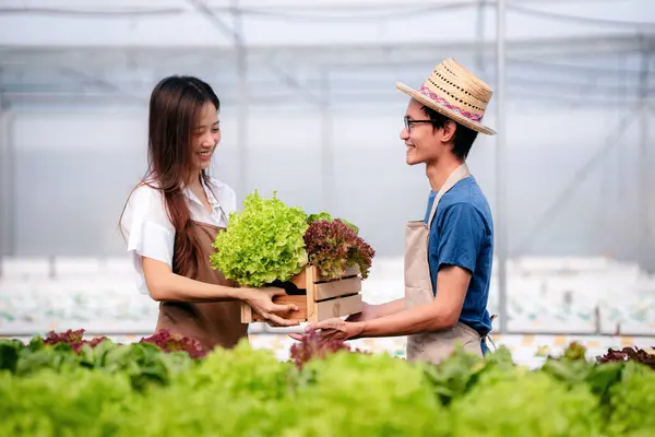 Deux Propriétaires Agrobusiness Couple Agriculteur Travaillant Exploitant Contrôlant Les Légumes — Photo