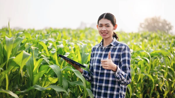 Smart farmer making thumb up gesture and use digital tablet to examining quality crop of corn vegetables while working and planning to management system control with technology at agricultural field.