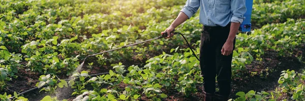 Smart Farmer Using Spray Tank Spraying Fertilizer Pesticides Vegetables Field — Stock Photo, Image