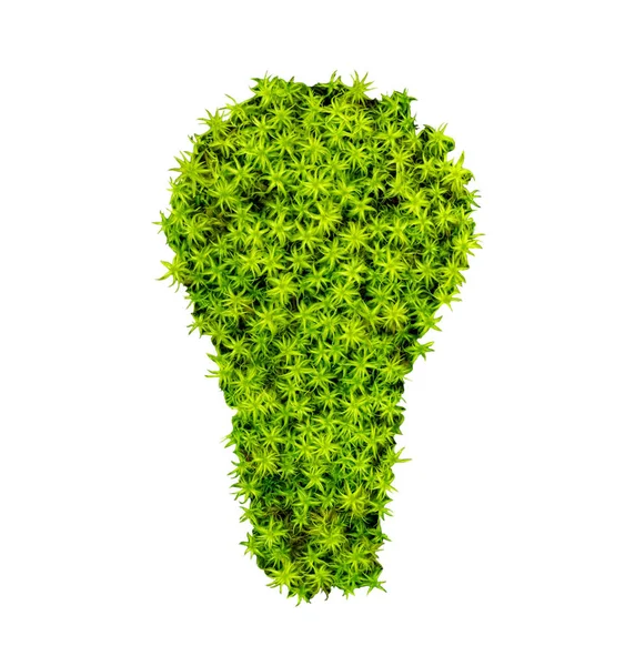 緑のエネルギーの象徴として球根状の草の写真を閉じます 持続可能な電力 エネルギー政策の概念 — ストック写真