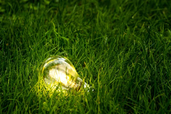 自然を背景に輝く電球の写真を閉じ エネルギー消費を削減するシンボルとして 地球や世界を救う 守るという概念 — ストック写真