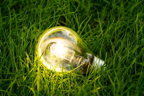 Nahaufnahme Foto Einer Leuchtenden Glühbirne Mit Naturhintergrund Als Symbol Für — Stockfoto