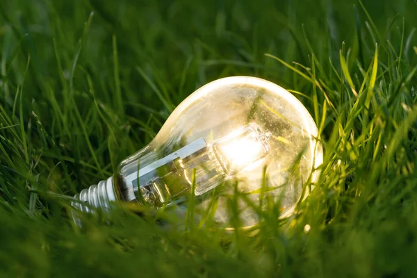 Close Photo Shining Lightbulb Nature Background Symbol Reduce Energy Consumption — Stock Photo, Image