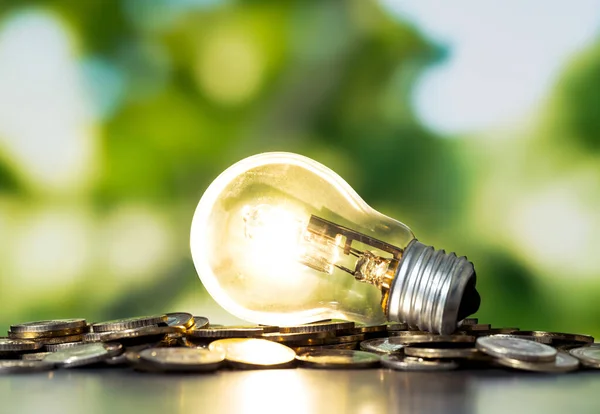Närbild Foto Glödlampa Med Växande Växt Inuti Och Mynt Staplar — Stockfoto