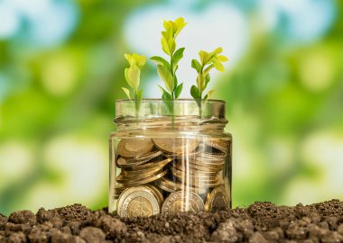 Close up photo of glass jae full of coins and growing plant inside as a symbol of invest or funding in business. Concept of financially grow of company or making profit. clipart