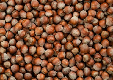 Close up top view photo of shelled raw hazelnuts.