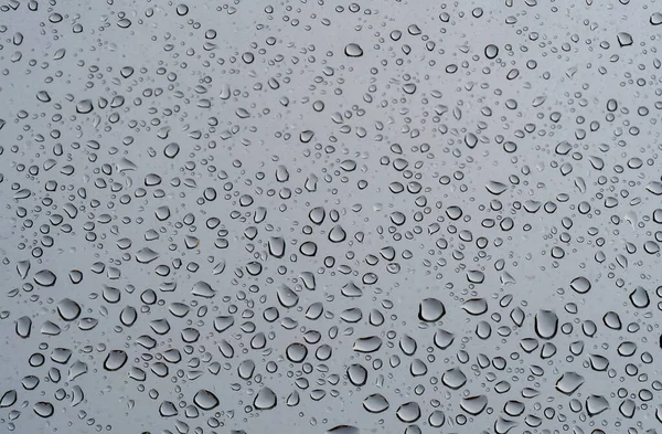 灰色背景上的雨滴 图库照片