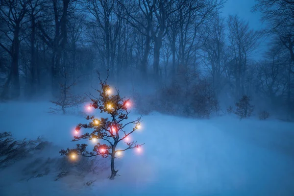 Ein Als Weihnachtsbaum Geschmückter Baum Wald Während Eines Schweren Schneesturms — Stockfoto