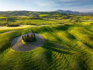 Yeşil tepelerin arasına gizlenmiş selvi koruluğu. Tipik Toskana manzarası sabahın erken saatlerinde çekilmiş..