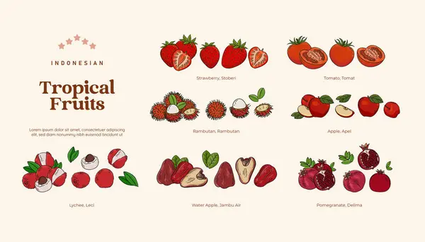Geïsoleerd Tropisch Fruit Illustratie Indonesisch Gezond Fruit Design Element — Stockvector