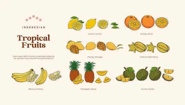 Geïsoleerd Tropisch Fruit Illustratie Indonesisch Gezond Fruit Design Element — Stockvector