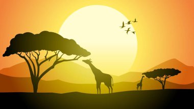 Afrika safari manzara vektör çizimi. Günbatımında zürafalı Afrika panorama silueti manzarası. Vahşi yaşam silueti ve günbatımı gökyüzü ile Afrika savanası manzarası