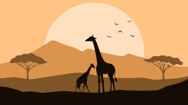 Afrika safari silueti manzara vektör çizimi. Günbatımında zürafalı Afrika manzarası. Afrika savanası vahşi yaşam silueti arka planı