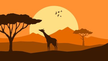 Afrika safari silueti manzara vektör çizimi. Günbatımında zürafalı Afrika manzarası. Afrika savanası vahşi yaşam silueti arka planı