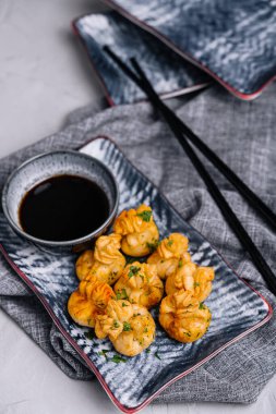 Fried dumplings with pork and herbs on plate with soy sauce