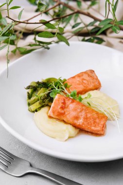 salmon steaks with mashed potatoes on white plate