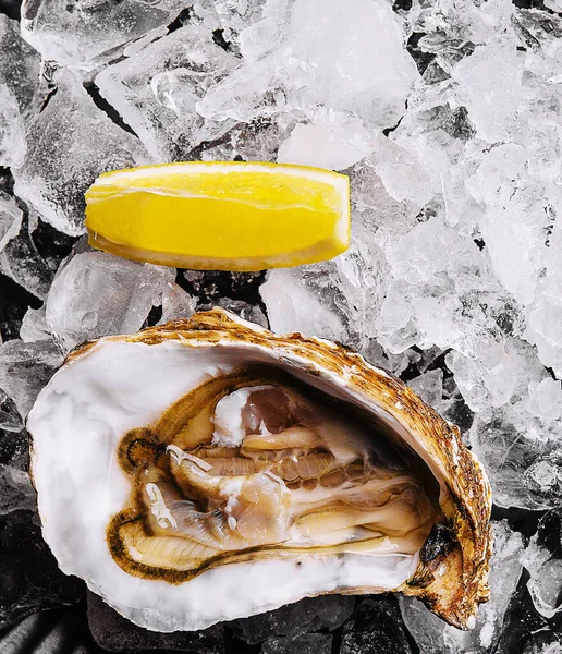 stock image Fresh raw open oyster with ice and lemon slice