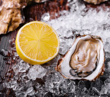 Opened oysters, ice and lemon on board