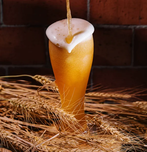 Bier Glas Mit Weizenähren Gießen — Stockfoto