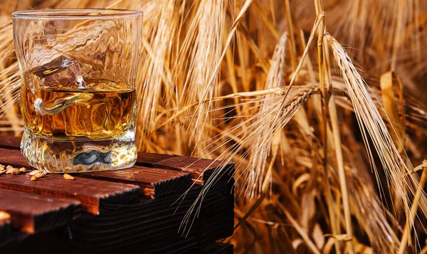 Vaso Whisky Campo Con Orejas — Foto de Stock
