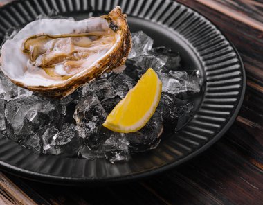 Fresh french appetizer oysters on ice with lemon