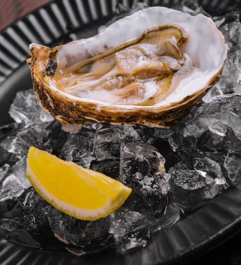 Fresh french appetizer oysters on ice with lemon