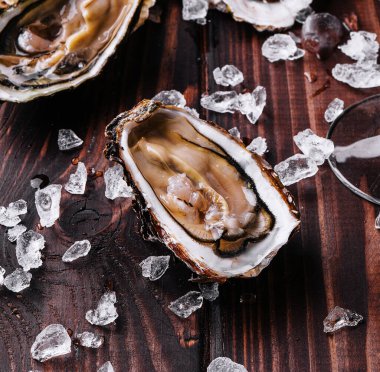 Buz küplü taze istiridye. Yaklaş.