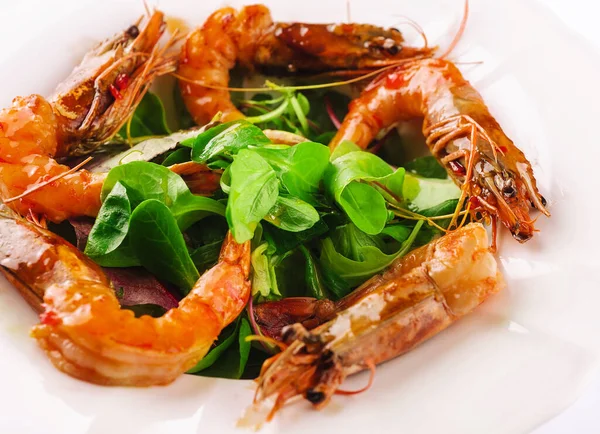 Fresh Shrimp Salad Close Plate — Stock Photo, Image