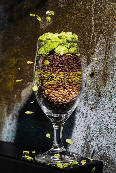 Glas Mit Schaum Zusammen Mit Weizen Samen Und Hopfen — Stockfoto