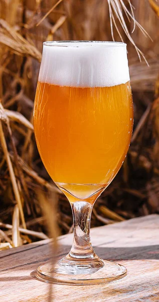 Vidro Leve Não Filtrado Cerveja Campo Trigo — Fotografia de Stock