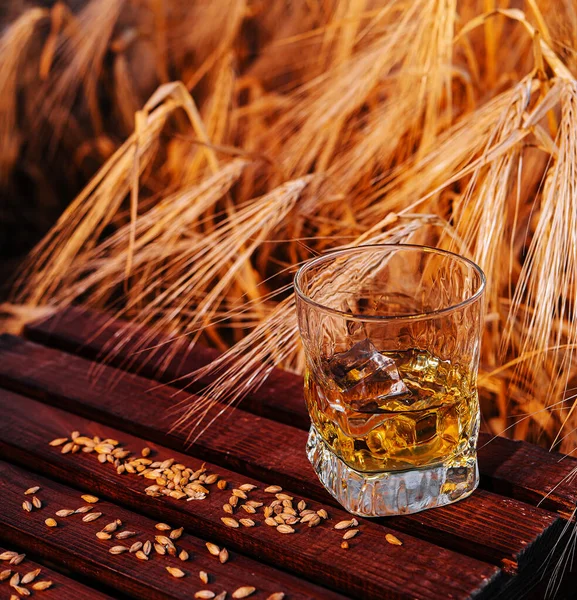Vaso Whisky Con Hielo Campo Trigo — Foto de Stock