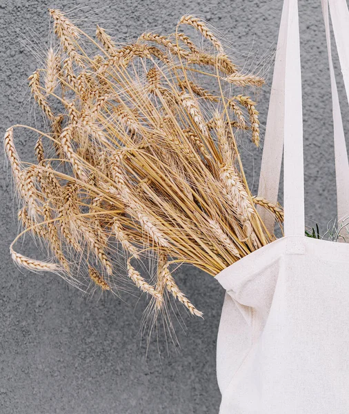 girl holding a cloth bag with ears of wheat