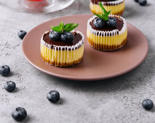 Mini Chocolate Cheesecake Decorated Blueberries — стоковое фото