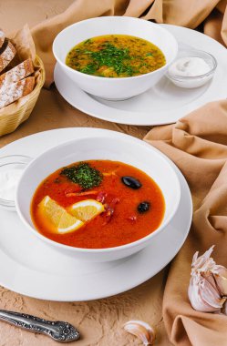 Solyanka çorbası ve tavuk çorbası.