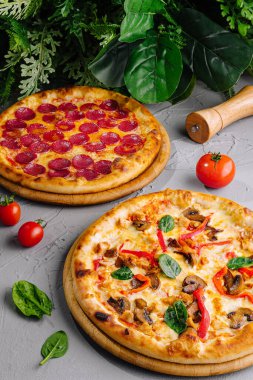 Biberli ve sebzeli iki lezzetli pizza, gri bir yüzeyde taze malzemeler.