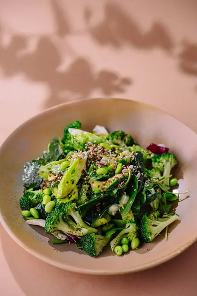 Seramik Tabakta Servis Edilen Susam Tohumlu Canlı Sebze Salatası — Stok fotoğraf