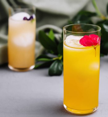 Arka planda yeşil bitkiler olan şık bir masada iki bardak renkli tropikal meyve suyu.