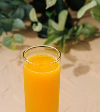 Canlı bir bardak portakal suyu taze bir narenciye diliminin yanında kumlu bir arka planda yeşillik gölgeli.
