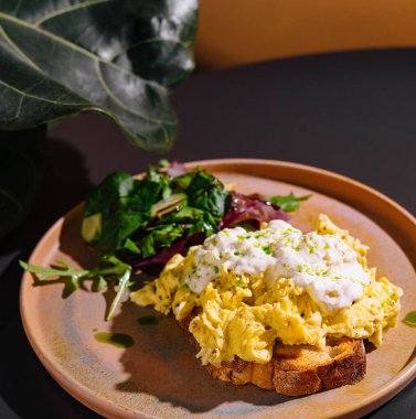 Ekşi kremalı çırpılmış yumurta ve kızarmış ekmeğin üzerinde oturan otlar sağlıklı bir kahvaltı ya da brunch için taze salata ile servis edilir.