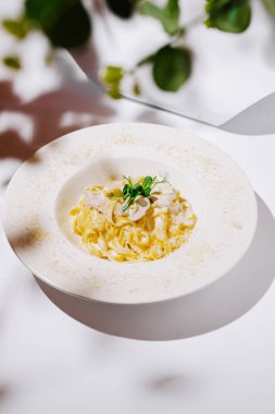 Çok güzel bir kaplanmış kremalı makarna dairesel bir tabakta oturur. Etrafı hafif ışıklandırma ve yakınlardaki yeşilliklerin nazik gölgeleriyle çevrilidir. Bu da yemek pişirme deneyimi yaratır..