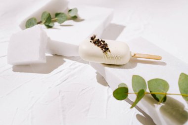 Tahta bir çubuğun üzerinde beyaz dondurma bulunan eşsiz bir tatlı desenli beyaz bir arka plana yerleştirilir. Taze okaliptüs yaprakları sunumu geliştirmek için doğaya bir dokunuş ekler..